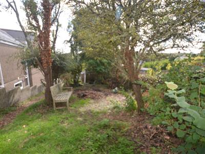 Picture 24